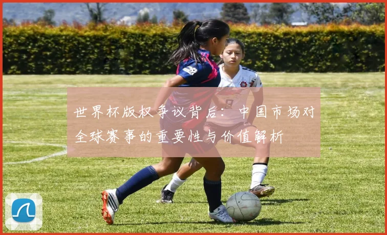 世界杯版权争议背后：中国市场对全球赛事的重要性与价值解析